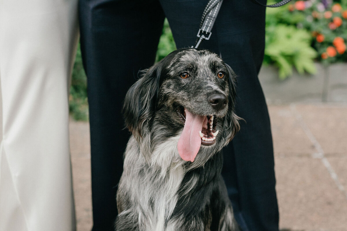 jaclyn-fisher-events-planning-chic-modern-greenhouse-wedding-in-philadelphia-51