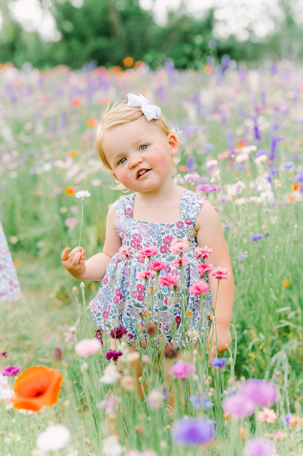dallas-wildflower-photography-8
