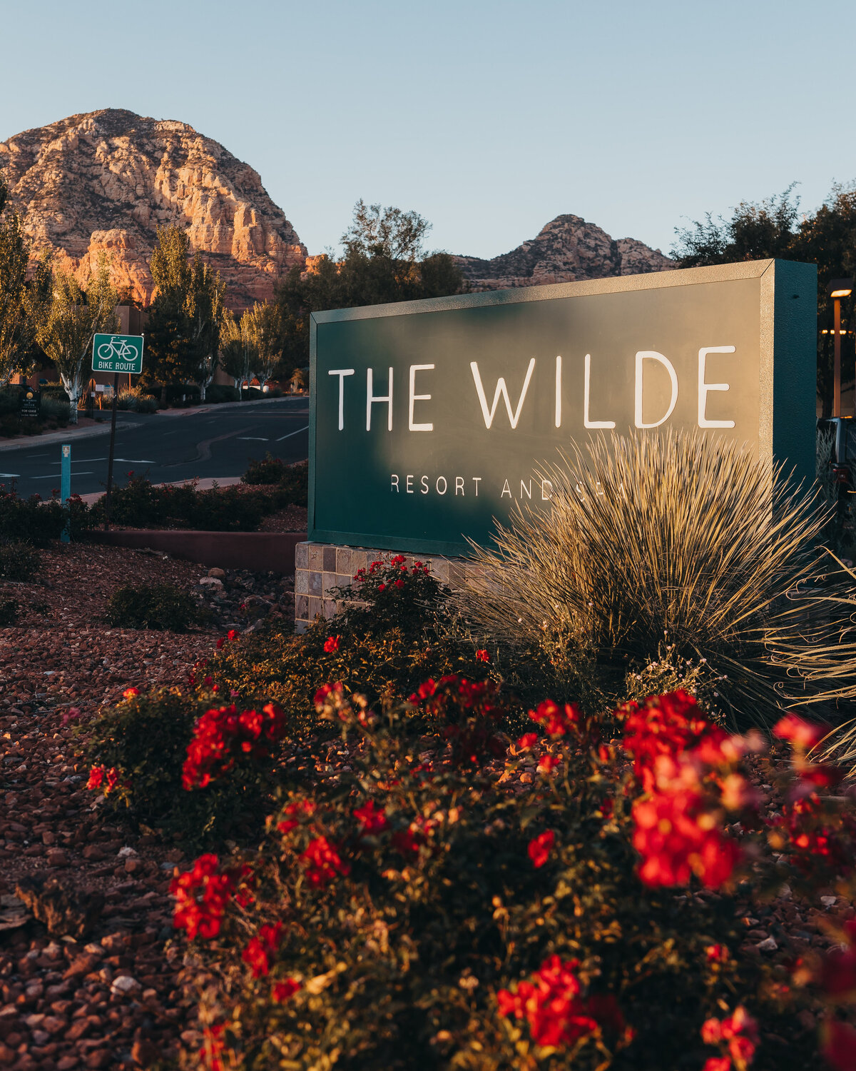 Wilde-3