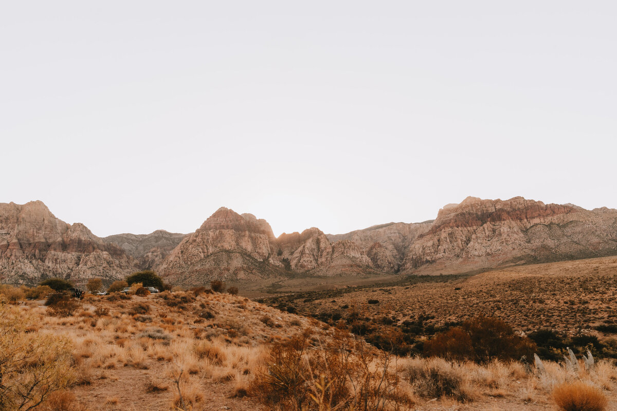 destination micro wedding photographer123
