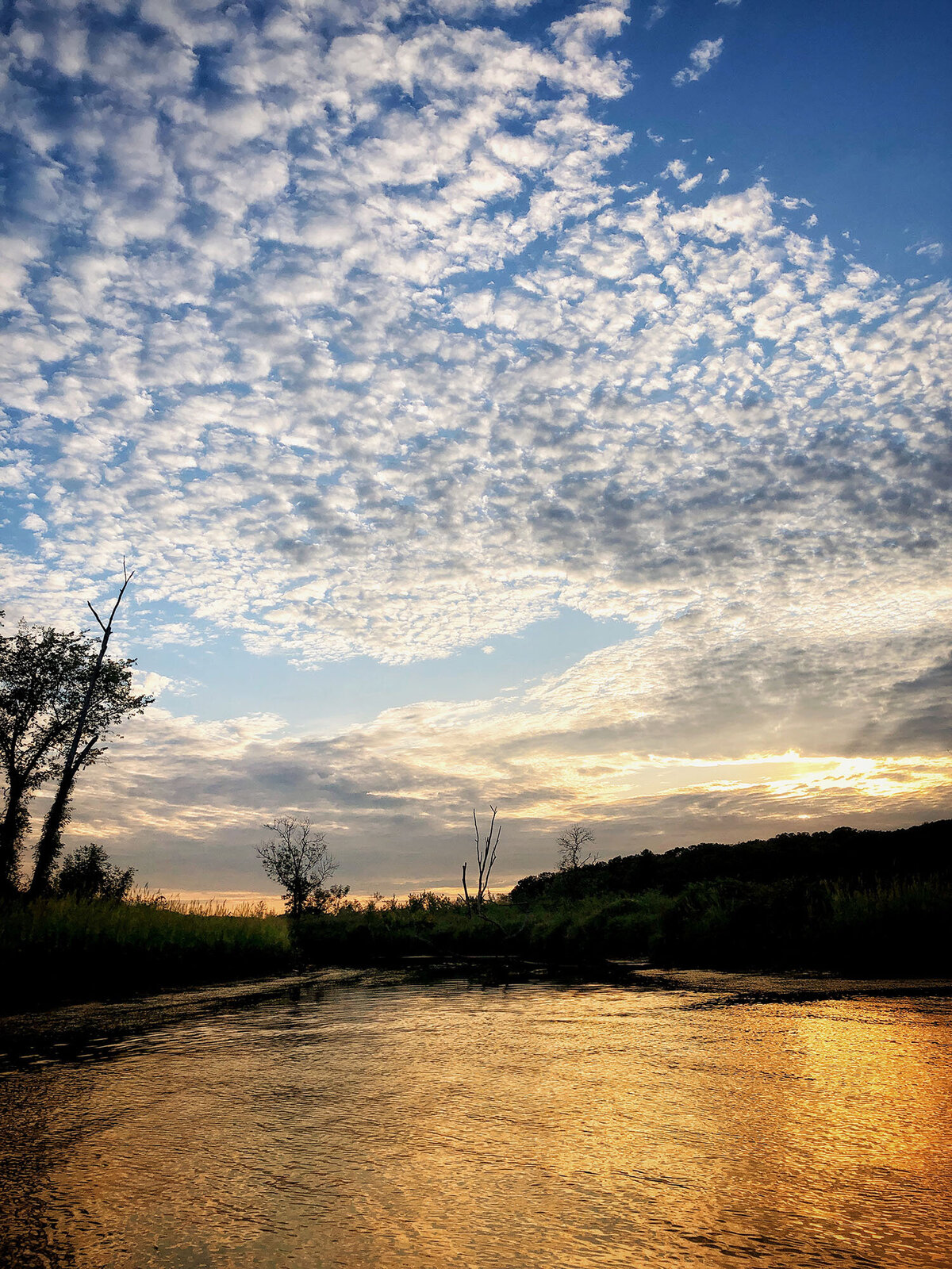 CCC_Estuary_83