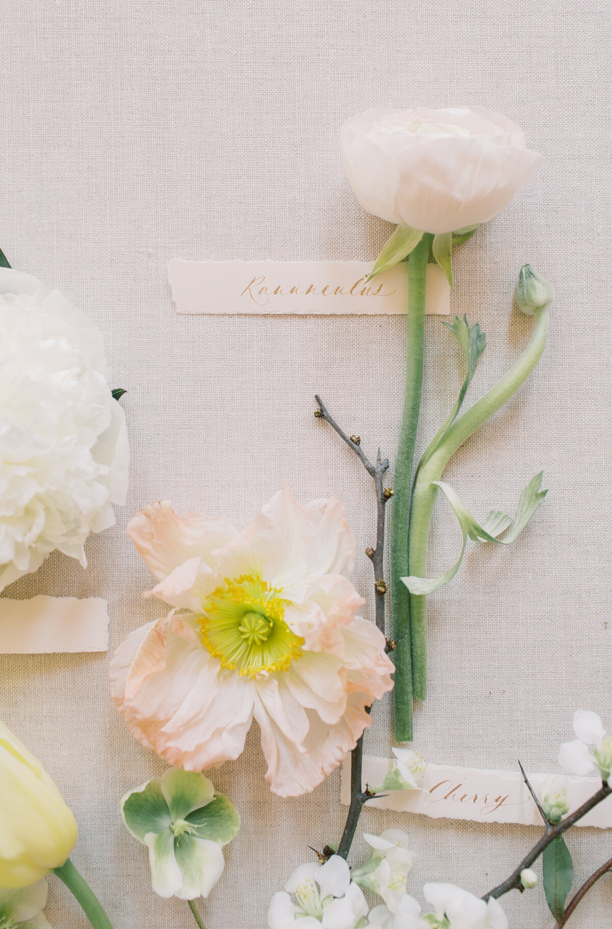 Flats-ExcelsiorEditorial-BriannaWilburPhoto-14