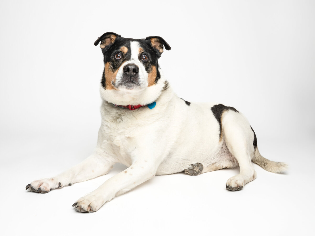 Website3500-DSC01762