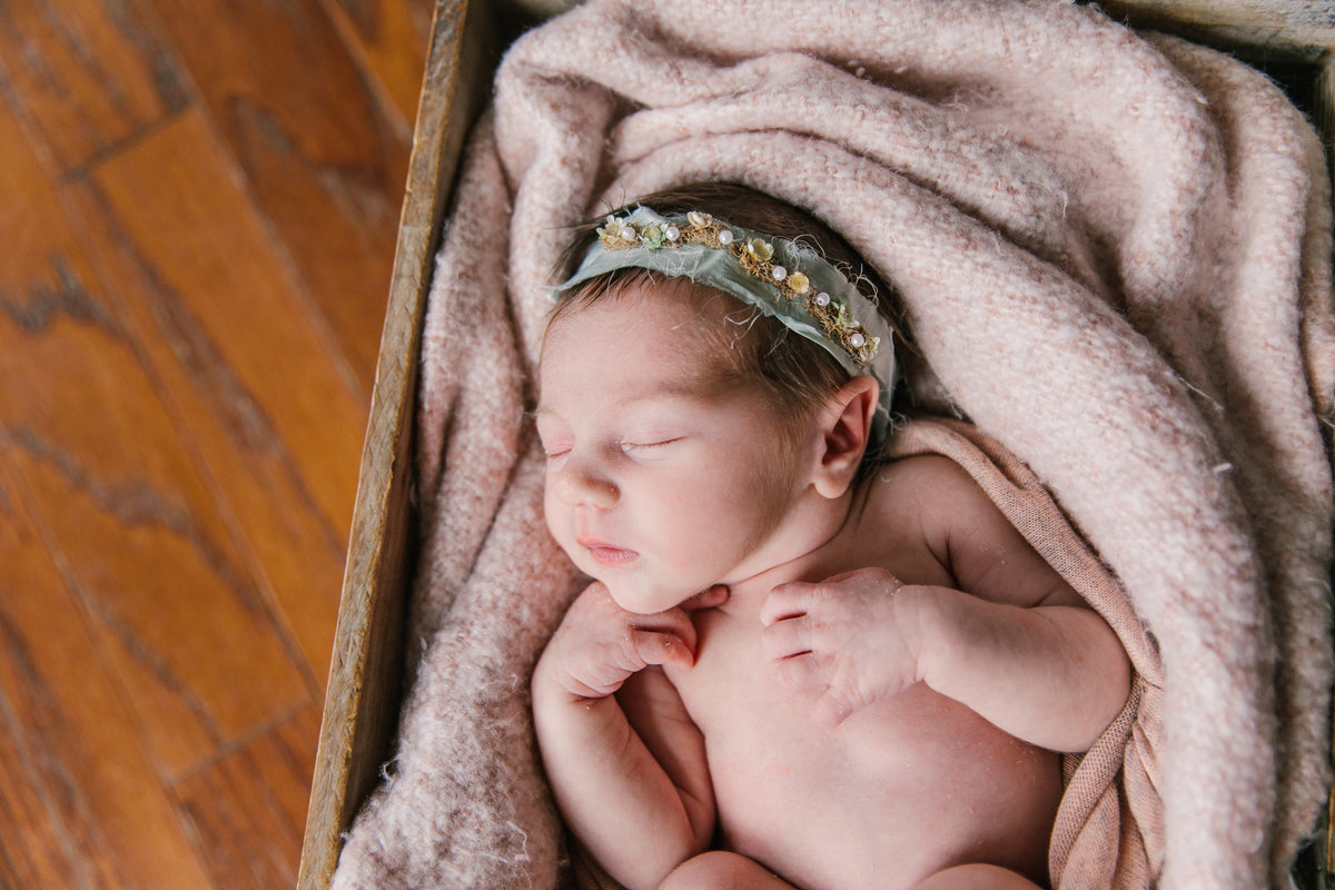 raleigh newborn photographer-lena-9098