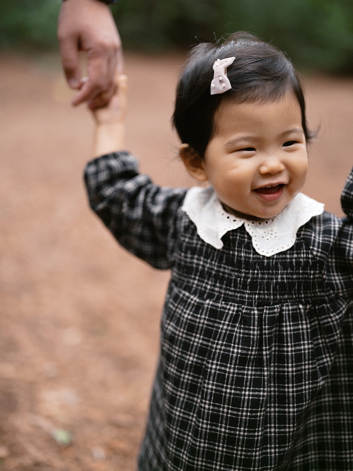 Toddler girl redwood session East Bay family photographer Oakland