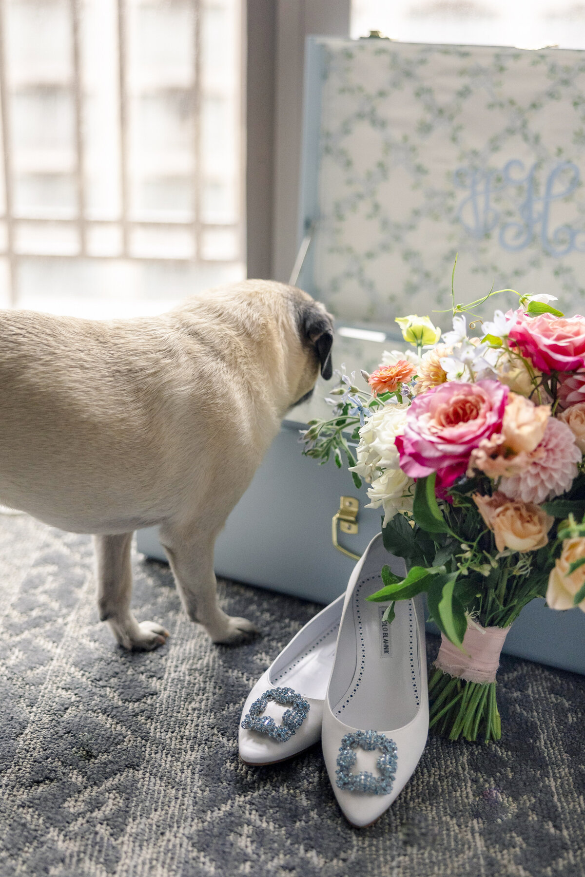 A small dog sniffs a light blue suitcase near a window. Beside the suitcase, theres a bouquet of pink, white, and orange flowers and a pair of white shoes with decorative buckles, placed on a patterned carpet.