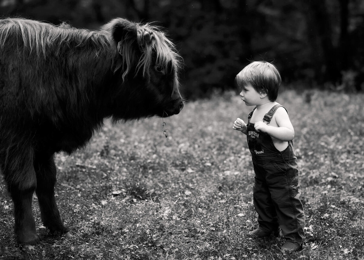 Animals (23)