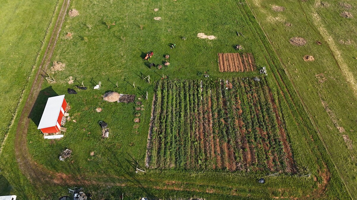 DJI_20250404084450_0012_D