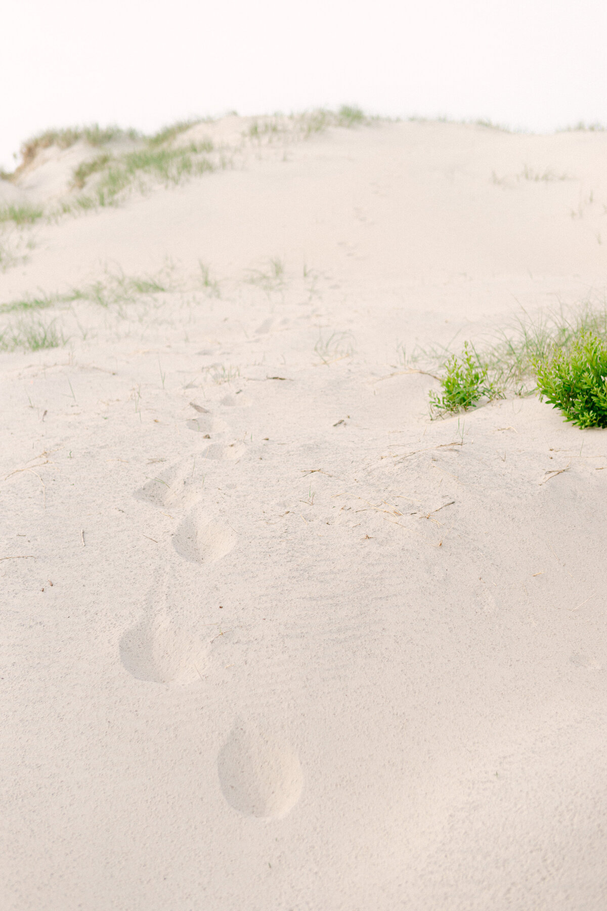 Beach-Wedding-outer-Banks10