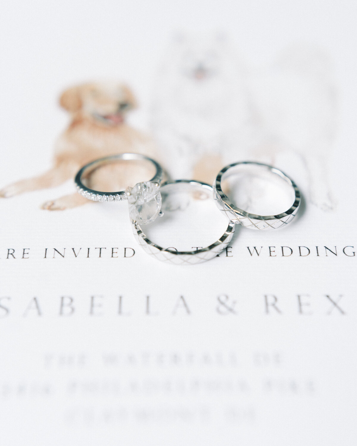 Lexi Jaice Photography Wedding Photographer Philadelphia East Coast Destination Worldwide Fine Art Wedding Photo Film and Digital Photography Light Airy 2