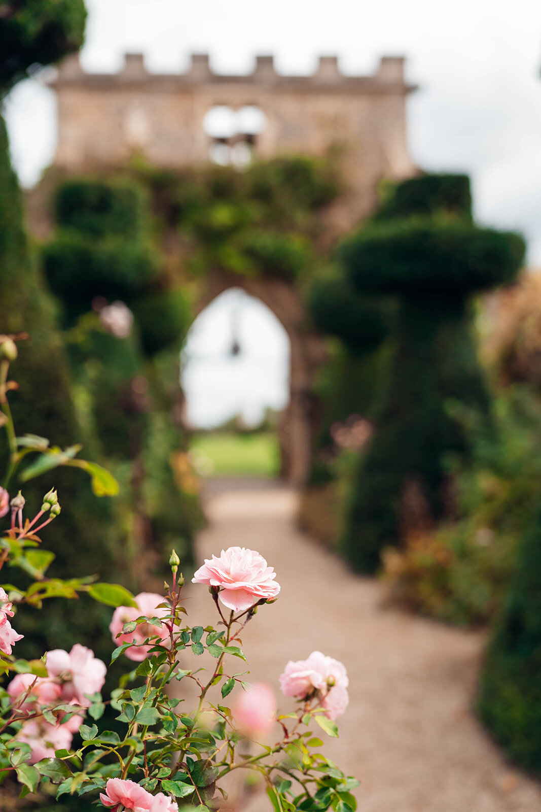 Manny_Bal_EmilyCollettPhotography0004