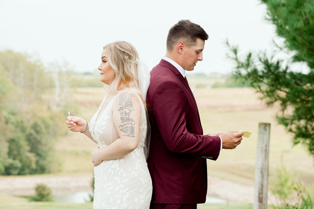 1587-Wedding Photography Nicole Hollenkamp St Cloud MN Central MN