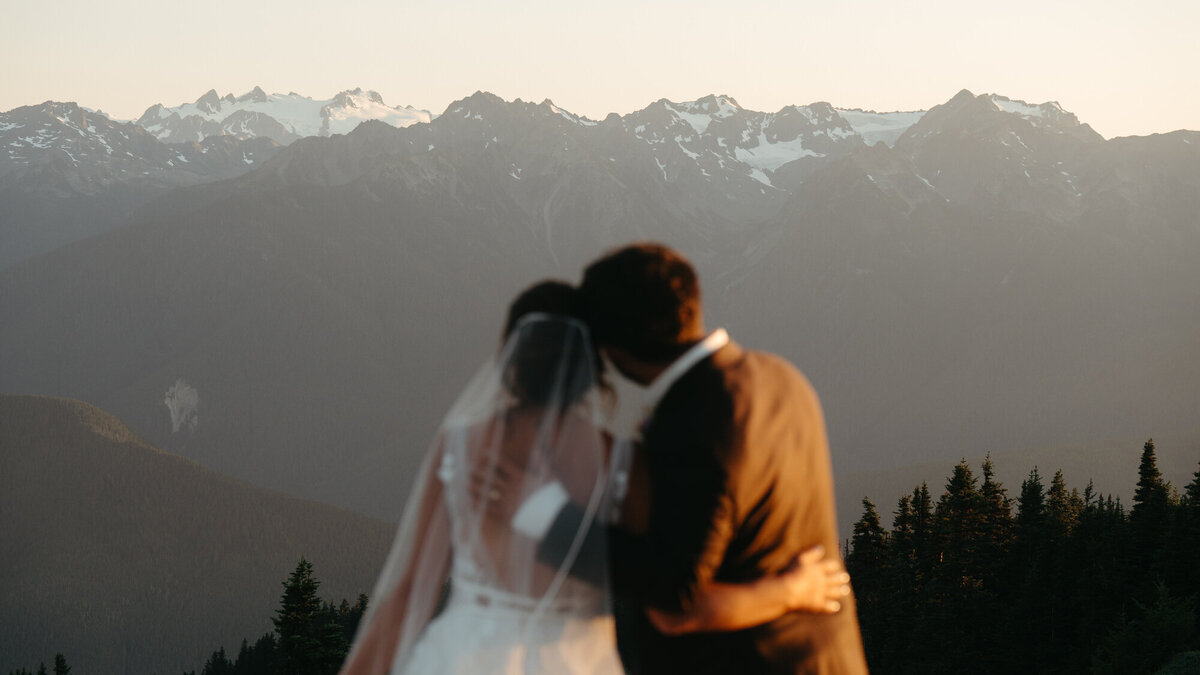 Wedding couple staring at the mountains after their Olympic National Park wedding ceremony.