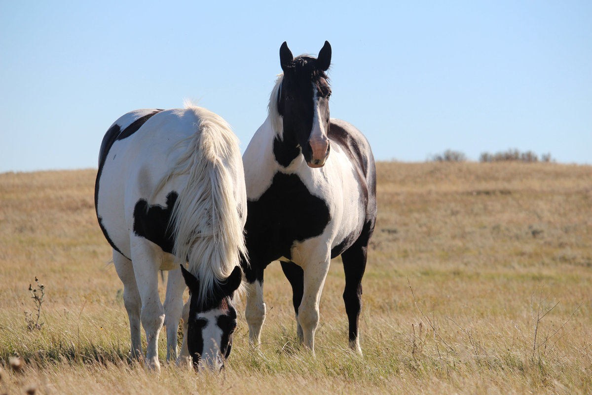 Wade_Muir_Photography_Places-23