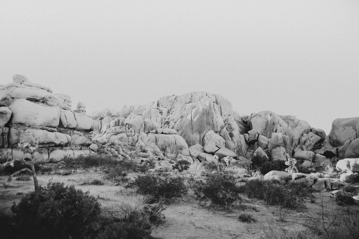 Joshua-Tree-Elopement-3