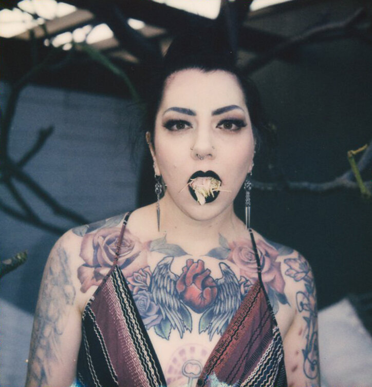 polaroid - 4