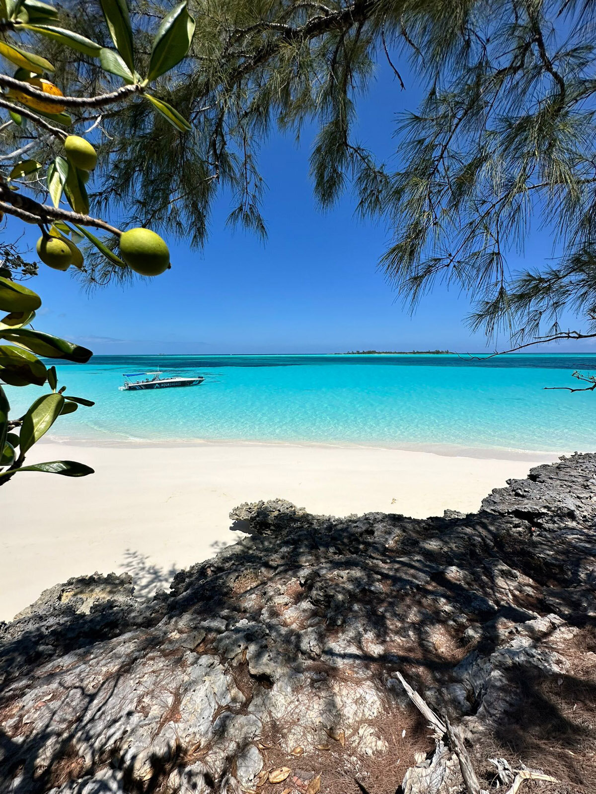 Aqua-Shores-Rose-Island-73
