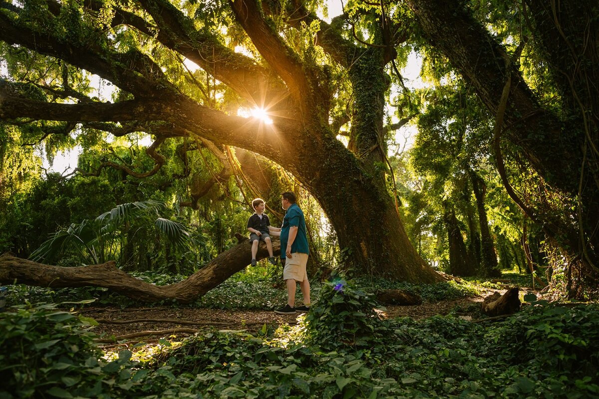 A father talks with his son sitting on a large branch of a tropical tree in Maui.