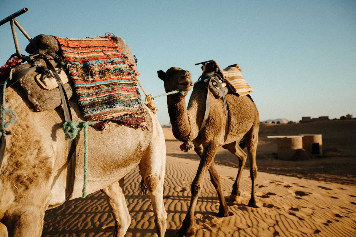 Morocco-dallinhassard-1266
