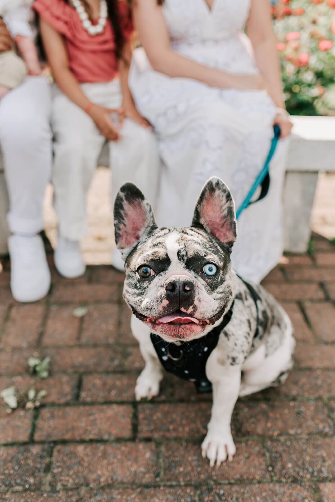 DVP-Northern-Virginia-Family-Photographer-2