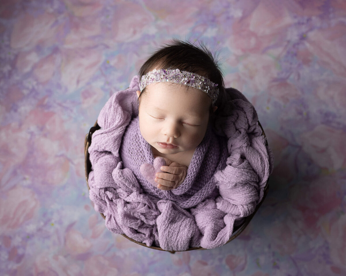 Hudson-Valley-Newborn-Photographer (4)