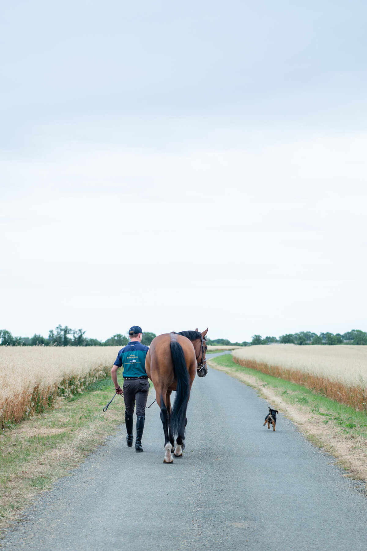 Chloe Bolam - Milton Keynes Buckinghamshire UK Equine Photographer - David Britnell Eventing and JTH Wonder (Stevie) -3