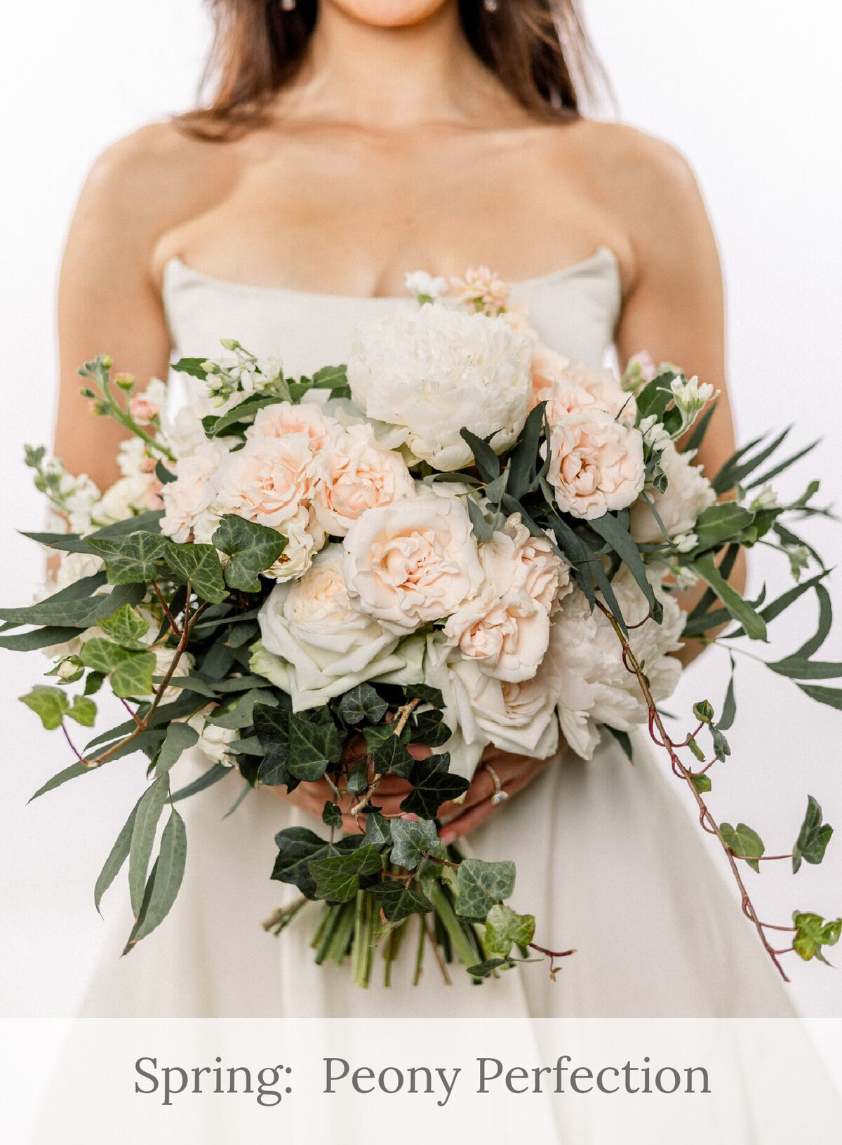 Spring_  Peony Perfection
