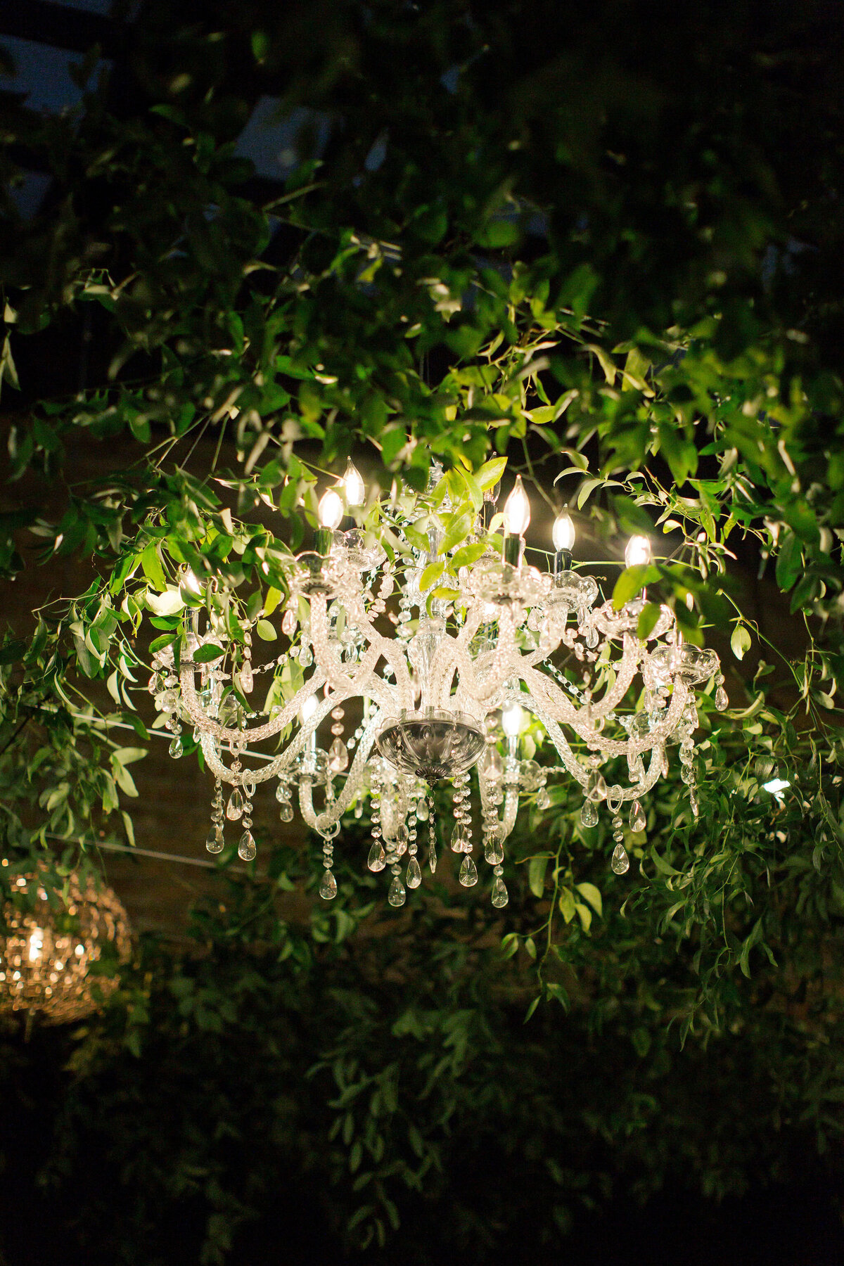 Best_Wedding_Photographer_Chicago_Illinois244