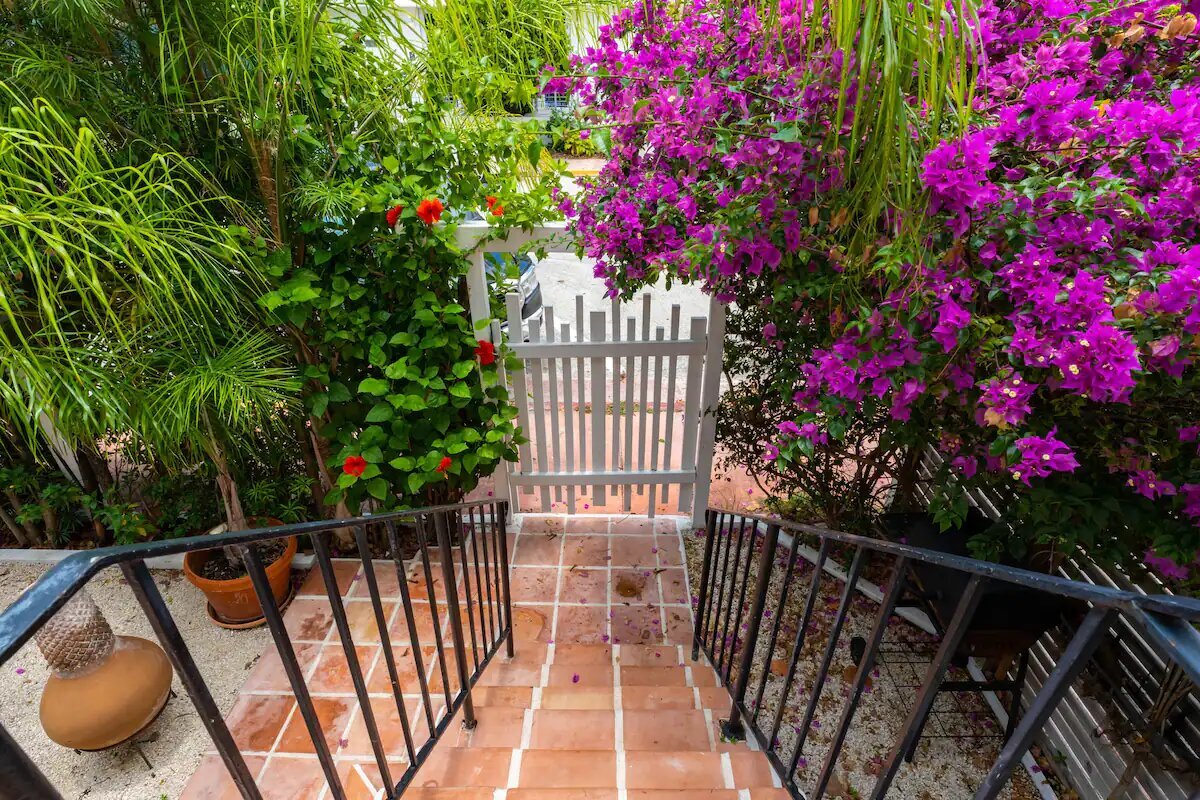 Patio 1 (3)