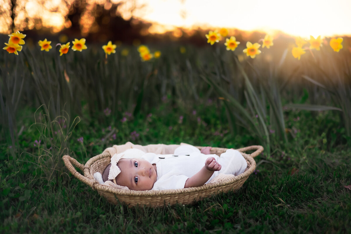 Raleigh-family-photographer-17