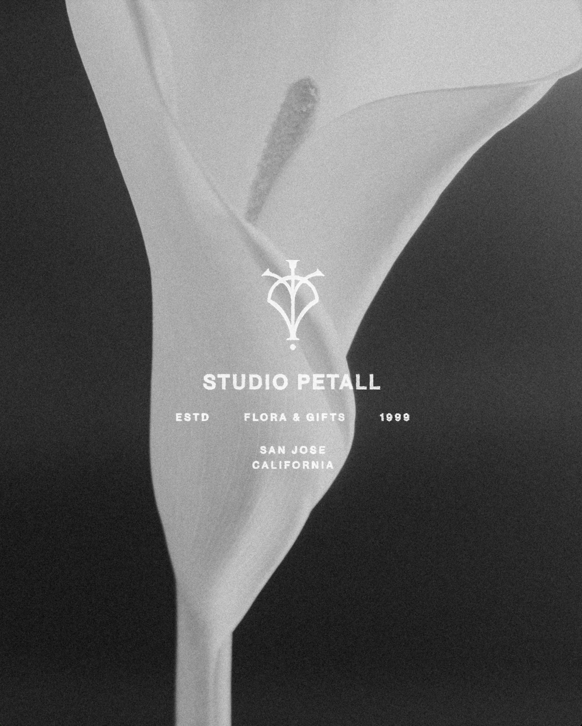 Screenshot 2025-10-28 at 7.48.12 PM