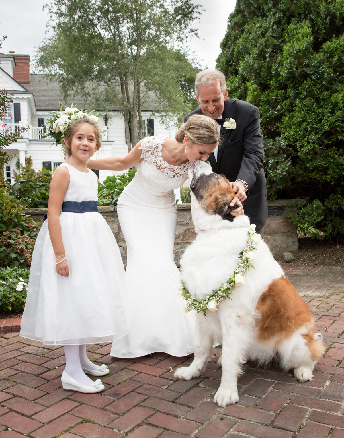 greenwich ct wedding luxury dog