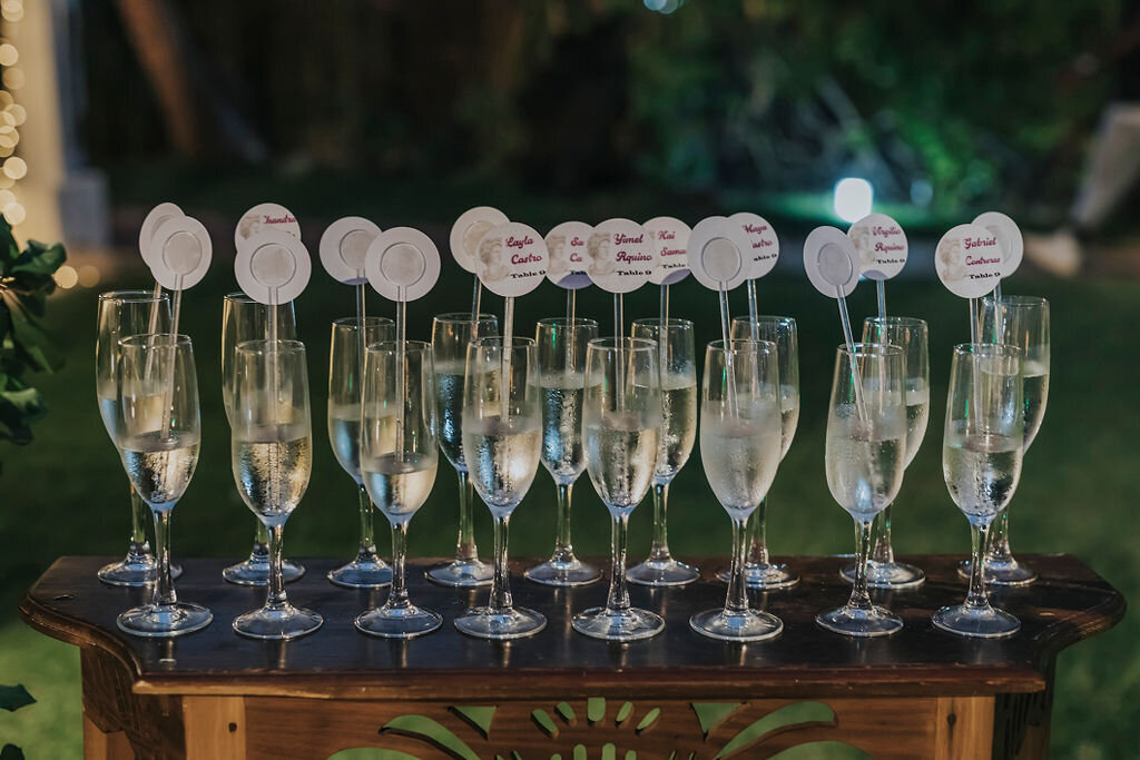 destination wedding in Punta Cana, Dominican Republic