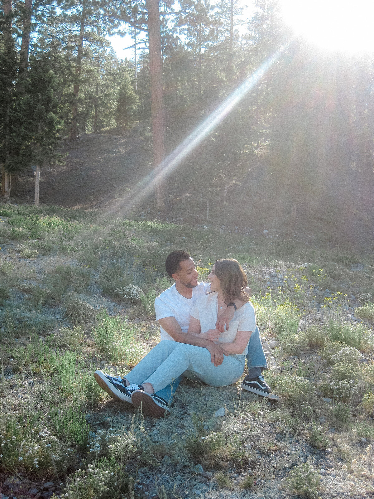 A couple sits in a grassy meadow with the sun casting a soft ray over them; they gaze affectionately at each other, creating a warm, romantic outdoor scene.