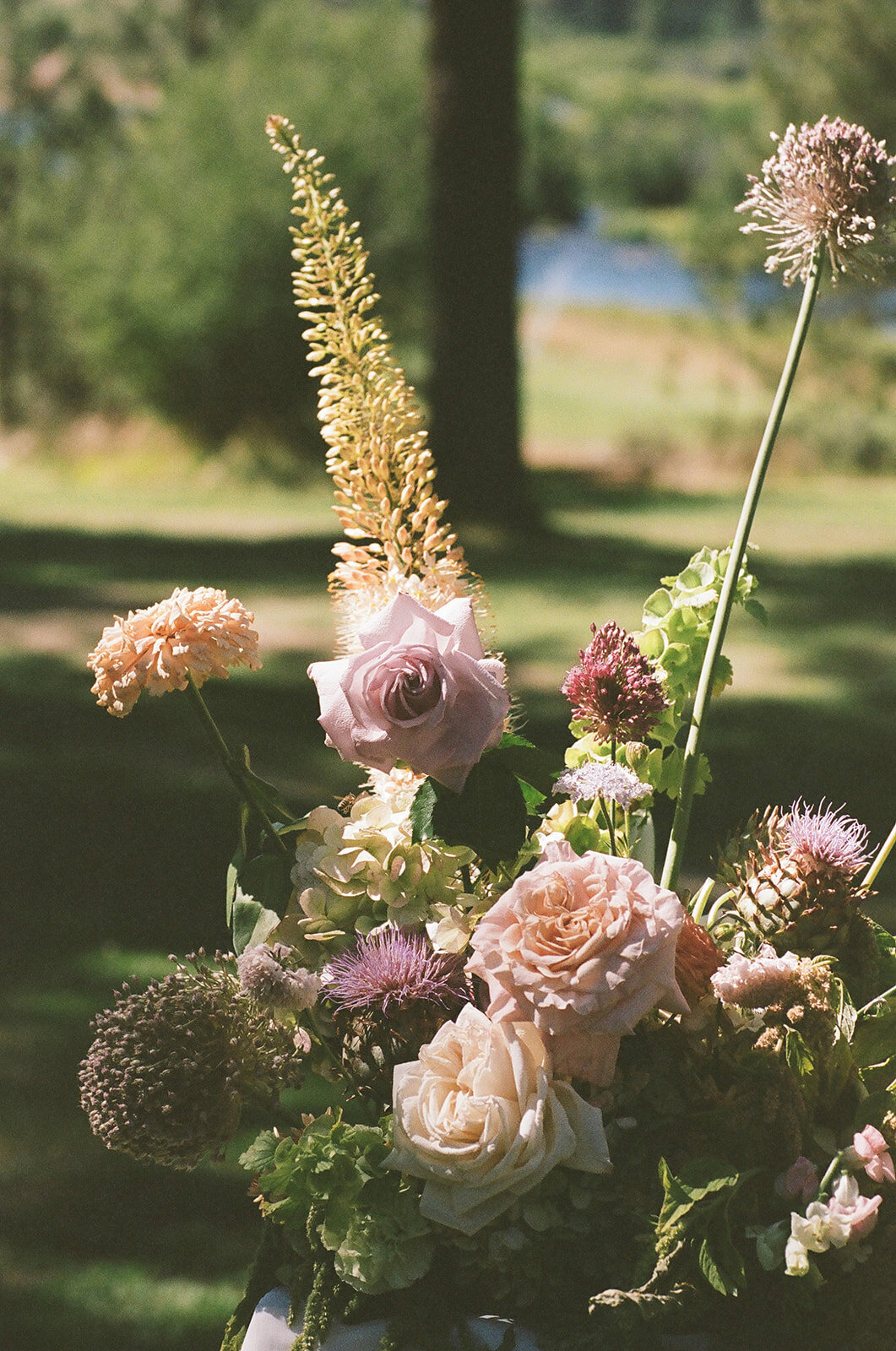 Sydney&Kurt_Wedding_Film-169_websize