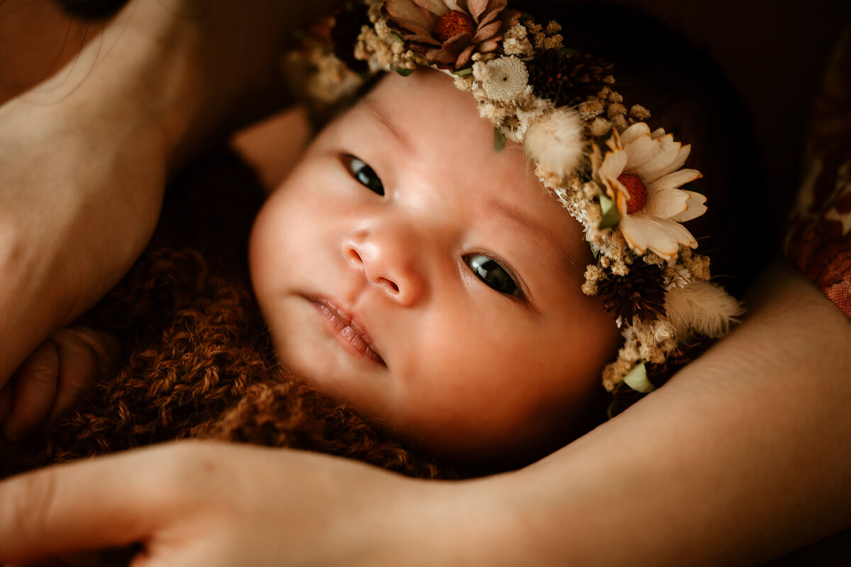 edmonton-newborn-photographer17
