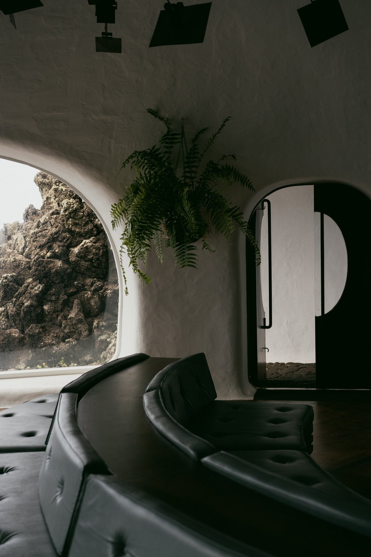 pexels-alleksana-15173338