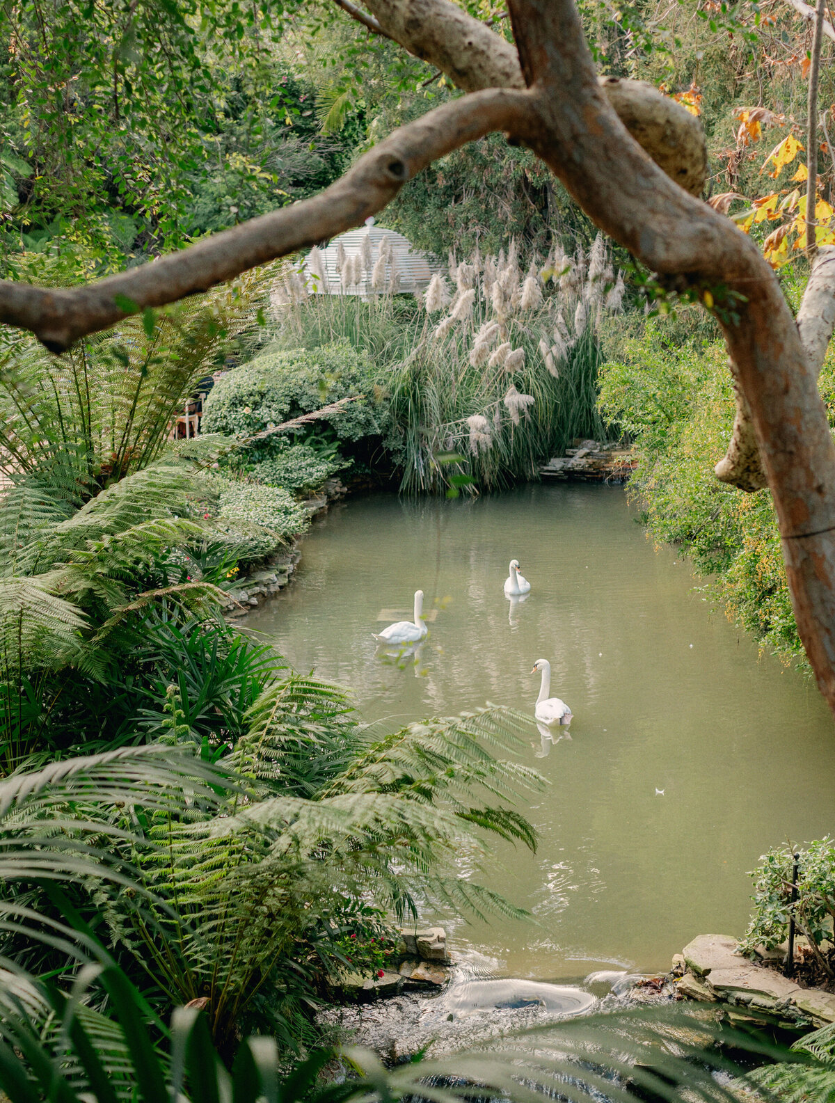 hotel-bel-air-wedding-swan-lake