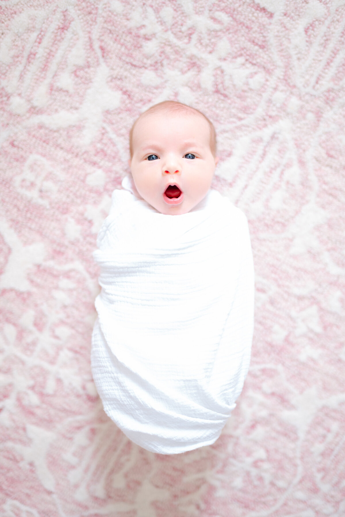 newborn photography cave springs-2213