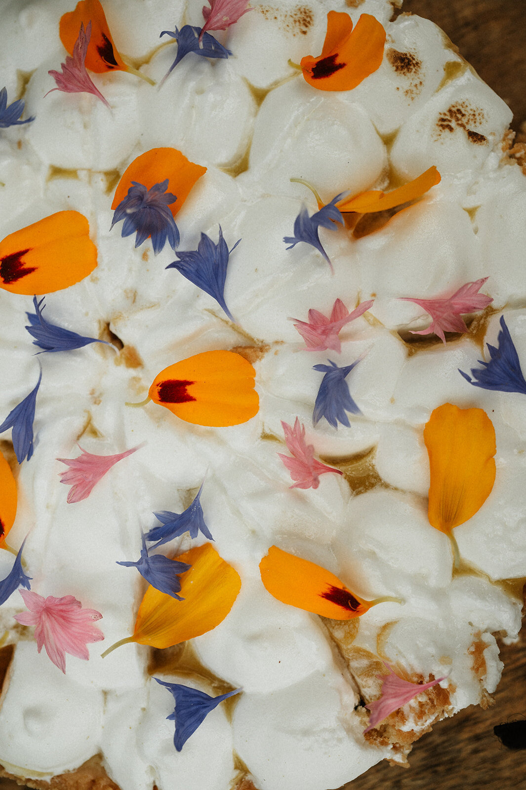 Herentals, salon weddings, moody, authentiek, alternatief trouwen,bruid, 2026, elopent, intiem, spontaan, tijdloos, trouwfotograaf, antwerpen - diner & dessert-174