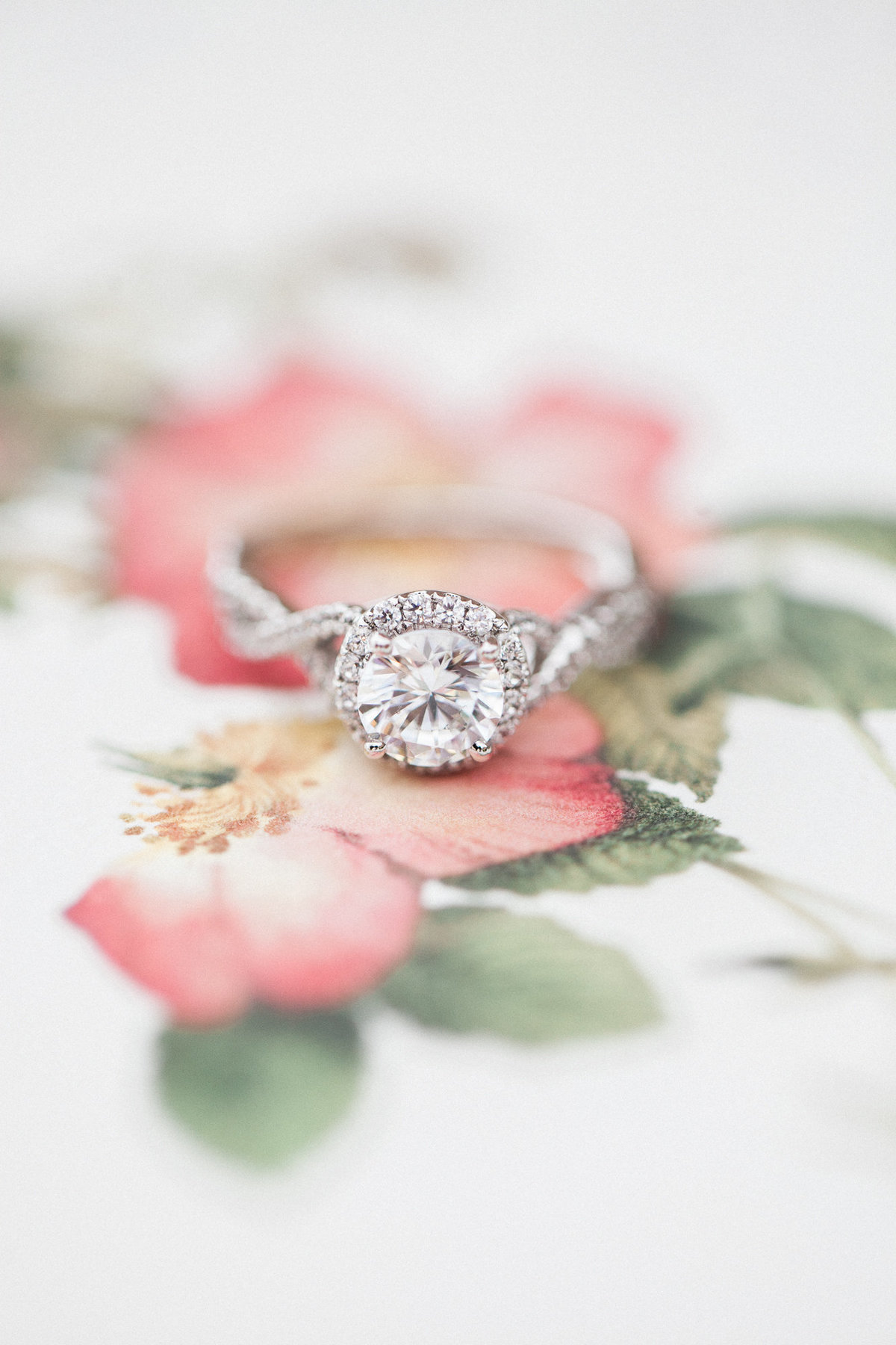 Mary Claire Photography-37