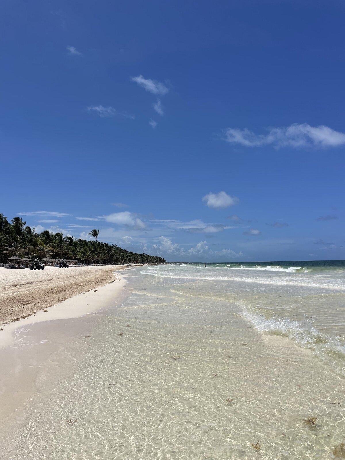 Palms Real Estate Group - Mistiq Temple Tulum14