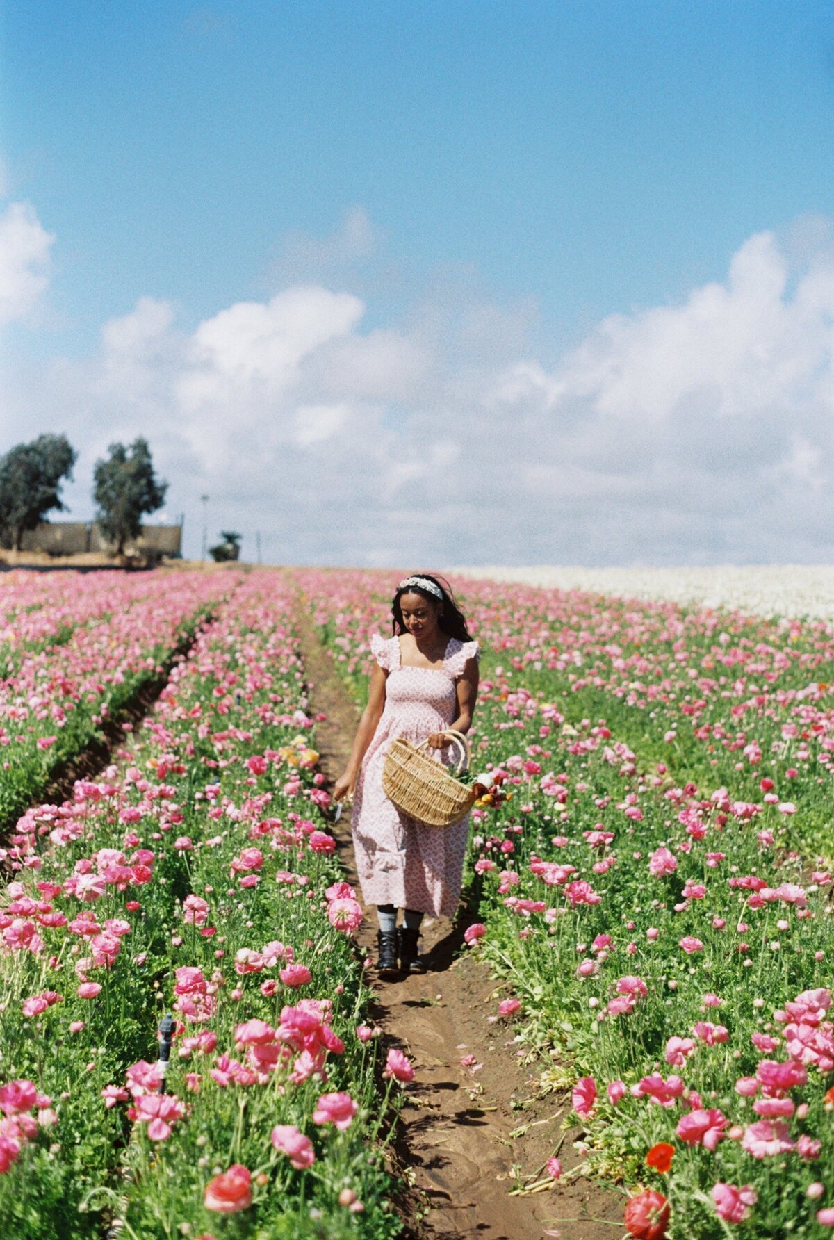 charleston lifestyle photographer 30