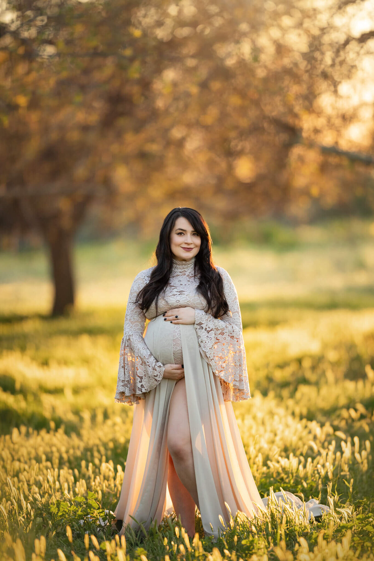 maternity photoshoot at the park at sunset with a golden sunset backlight