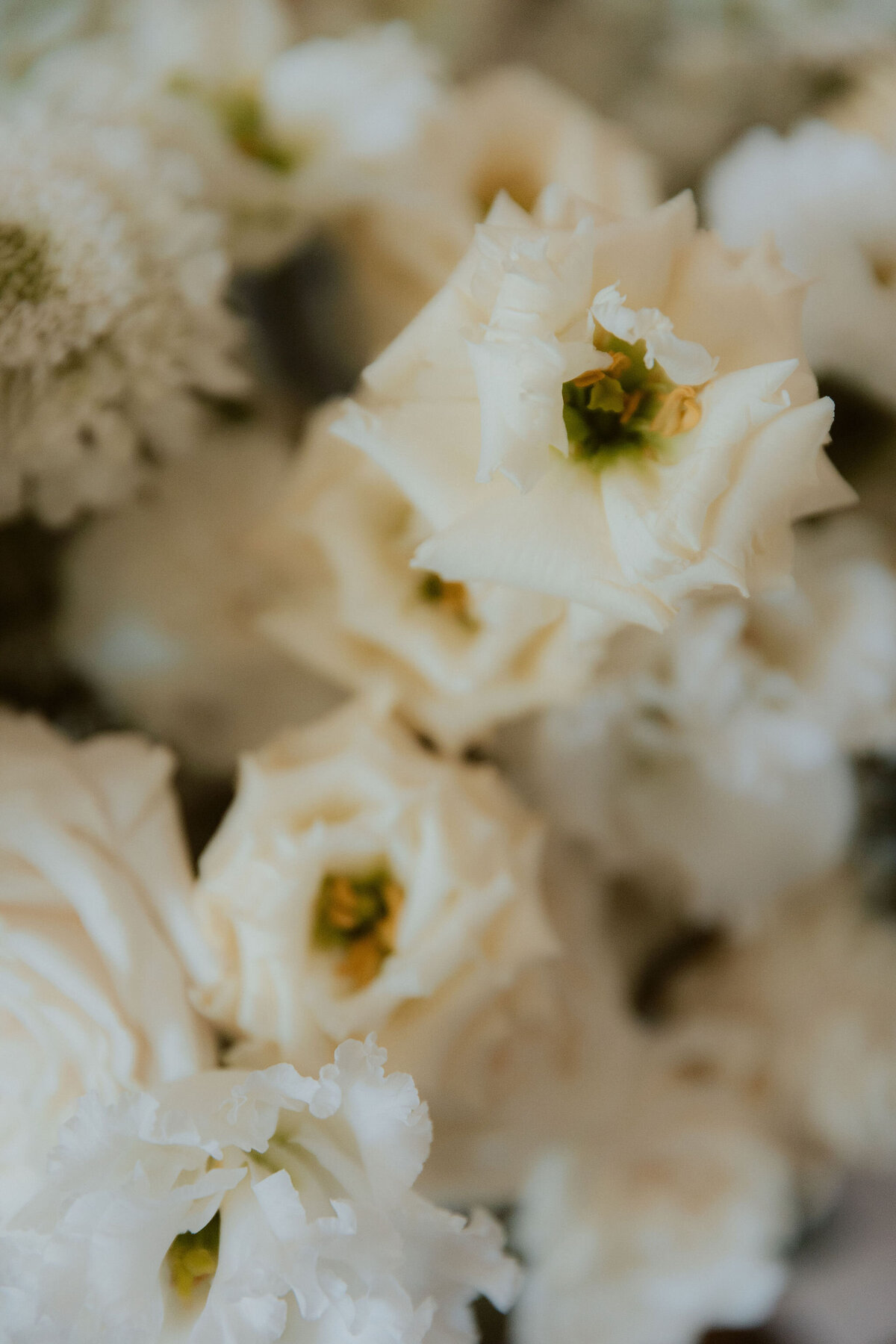 Cissbury Barns wedding flowers (1)