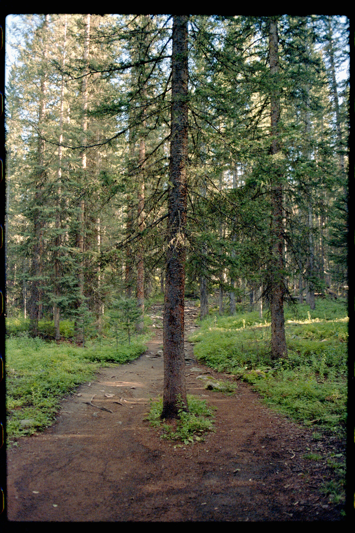 CB, Lost Lake Summer Hiking-7