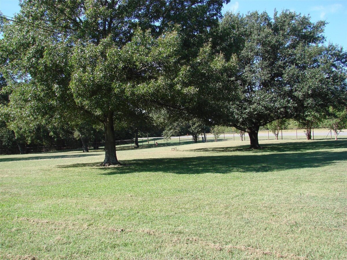 mature trees