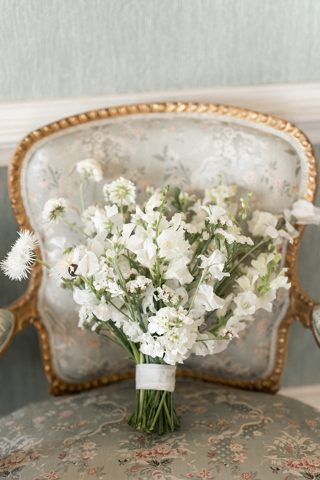 Hannah Malloy Virginia Wedding and Family Photographer