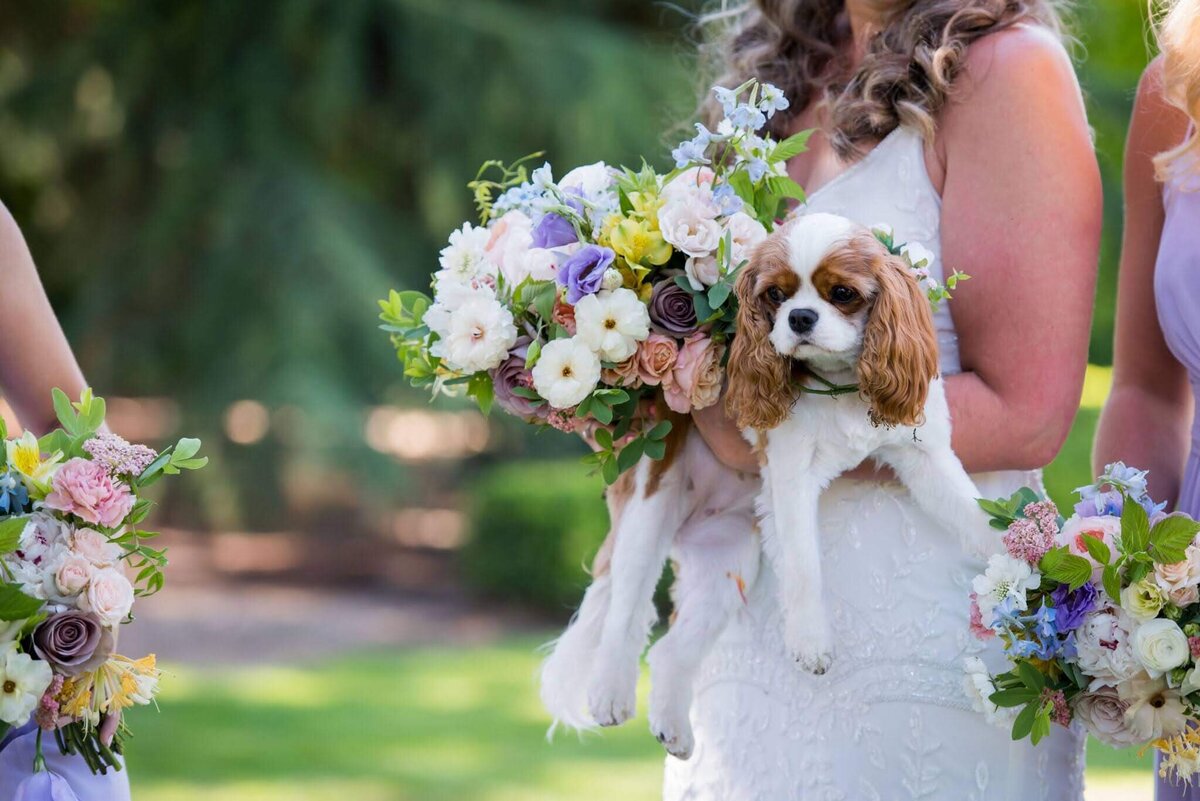 Bride holds her bouquet and dog in her arms.