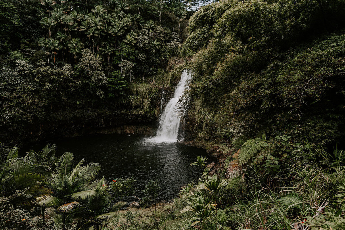 22.04.29_22.04.29_Sarah and Josh_Hilo Hawaii Elopement _0590_websize